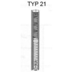 Typ21