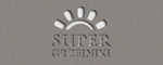 Titanium_Gray_Metallic